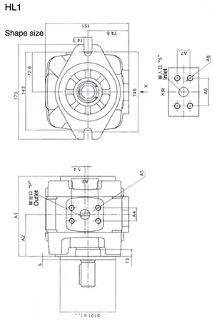 HL1 Одиночный шестеренный насос