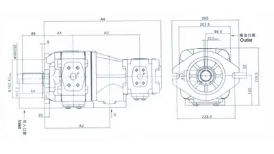 HL21 Сдвоенный шестеренный насос
