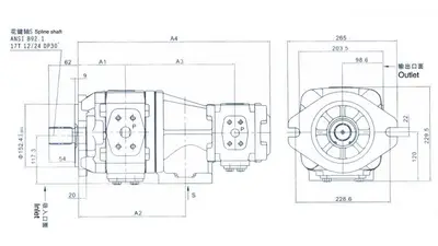 HL21 Сдвоенный шестеренный насос