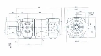 HL22 Сдвоенный шестеренный насос