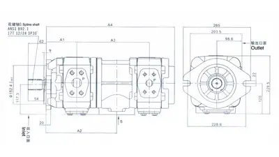 HL22 Сдвоенный шестеренный насос
